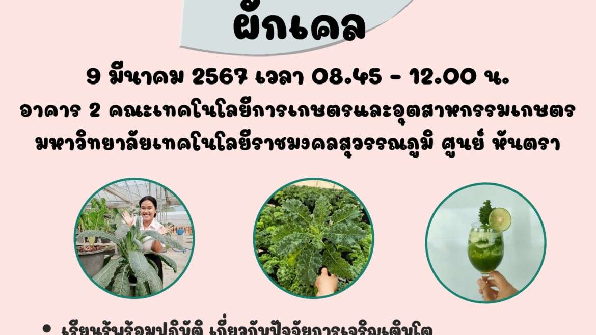 สาระพัดเรื่องราวของผักเคล